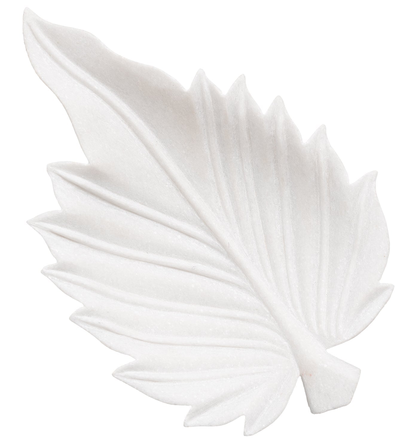Plateau de feuilles