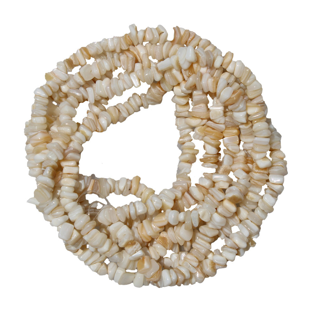 Copeaux de coquillages naturels